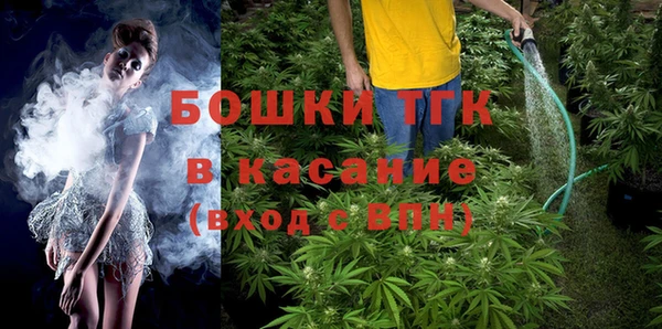прущие грибы Алексин