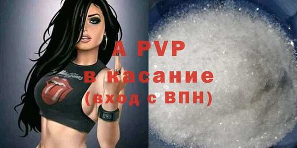 прущие грибы Алексин